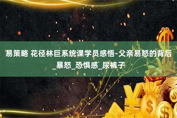 易策略 花径林巨系统课学员感悟-父亲易怒的背后_暴怒_恐惧感_尿裤子